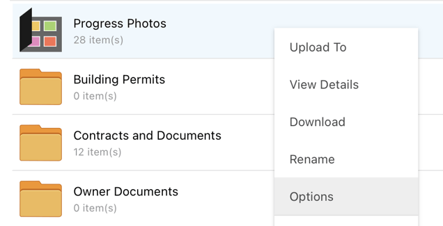 ConstructionOnline's Options choice in Files for sharing