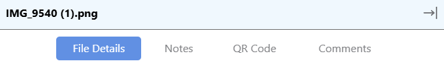 ConstructionOnline's File Details and tabs