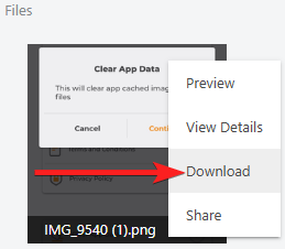 ConstructionOnline's "Download" option for Files within the TeamLink Portal