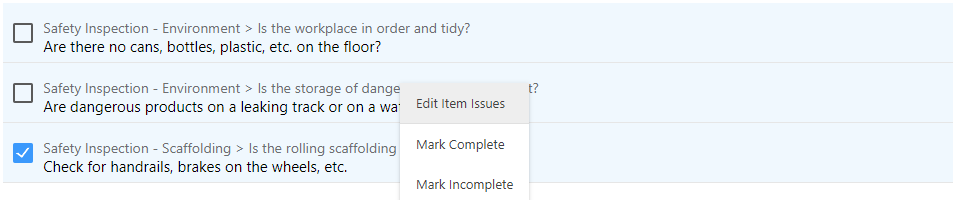 edit item issues option